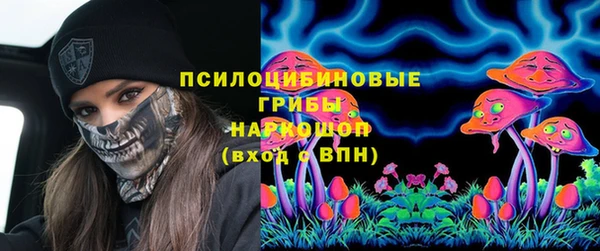 сатива Алексин