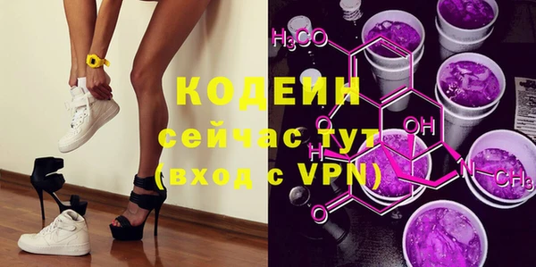 гидра Горнозаводск