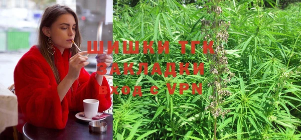 тгк Алексеевка