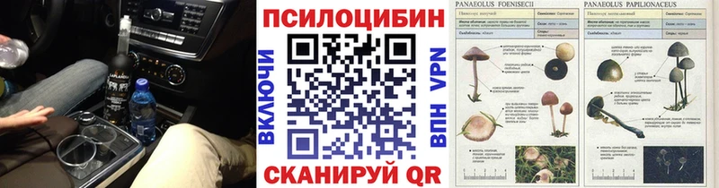 Псилоцибиновые грибы мухоморы  как найти   Николаевск 